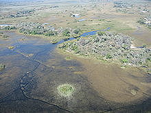 Okavango Delta