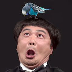 Hôsei Yamasaki