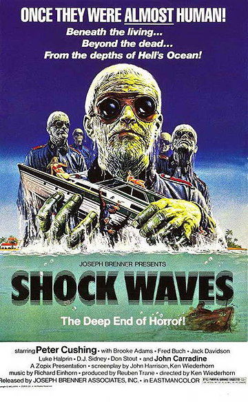 Shock Waves