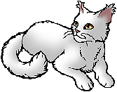 Whitestorm
