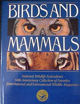 Birds and Mammals