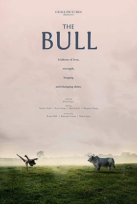 The Bull