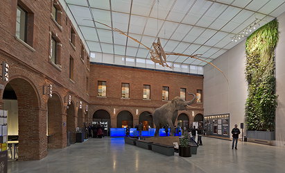 Museum de Toulouse (MHNT)