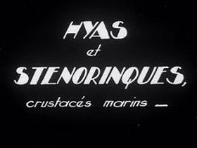 Hyas et stenorinques (1929)