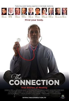 The Connection                                  (2014)