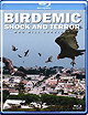 Birdemic Shock and Terror 