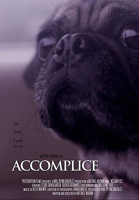 Accomplice (2017)