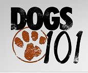 Dogs 101