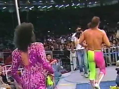 Genichiro Tenryu  vs Randy Savage (AJPW, Wrestling Summit, 08/13/90)