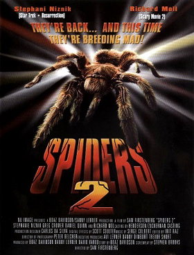Spiders 2  -  Arachnids