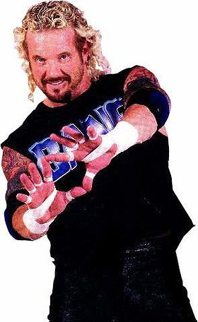 Diamond Dallas Page