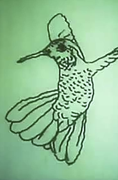 Hummingbird
