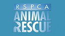 RSPCA Animal Rescue