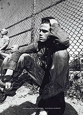 Tucker Des Lauriers pictures and photos