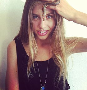 Krystall Schott