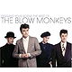 The Blow Monkeys