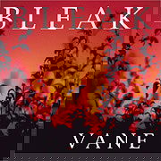 Vane