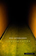 Gjennom natten