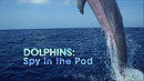 Dolphins: Spy in the Pod