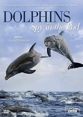 Dolphins: Spy in the Pod