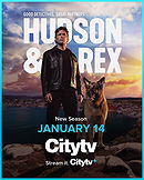 Hudson & Rex