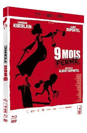 9-Month Stretch ( 9 mois ferme ) ( Nine Month Stretch (9 Month Stretch) ) (Blu-Ray & DVD Combo) (Blu