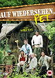 Auf Wiedersehen Pet: The Special