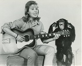 Judy the Chimpanzee