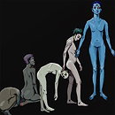 Ardipithecus - Willow