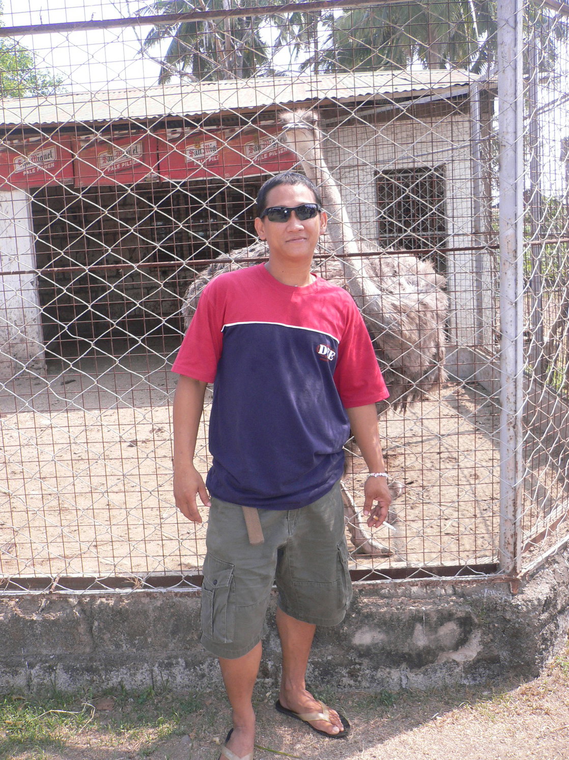 jed