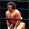 Terry Gordy