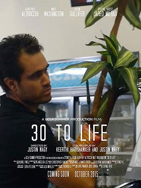 30 to Life (2015)