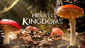 Hidden Kingdoms