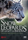 Snow Leopards of Leafy London