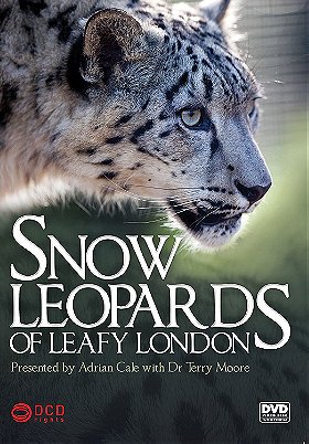 Snow Leopards of Leafy London