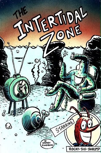 The Intertidal Zone