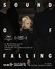 Sound of Falling