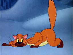 Ivan the Cat