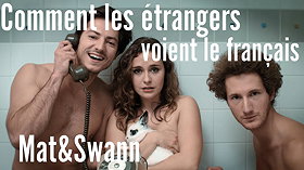 Comment les étrangers voient le Français - Mat  Swann
