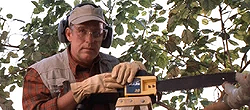 Phil Fimple