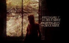 Nightingales in December