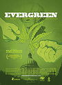 Evergreen: The Road to Legalization