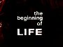 The Beginning of Life
