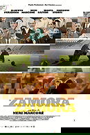 Zamora