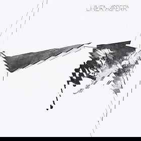 Linea Aspera