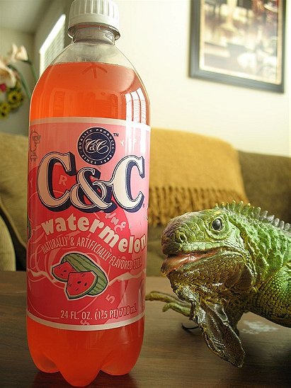 C&C Watermelon