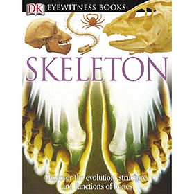 Eyewitness: Skeleton