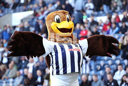 Baggie Bird