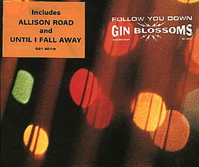 Follow You Down