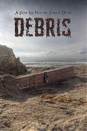 Debris                                  (2015)